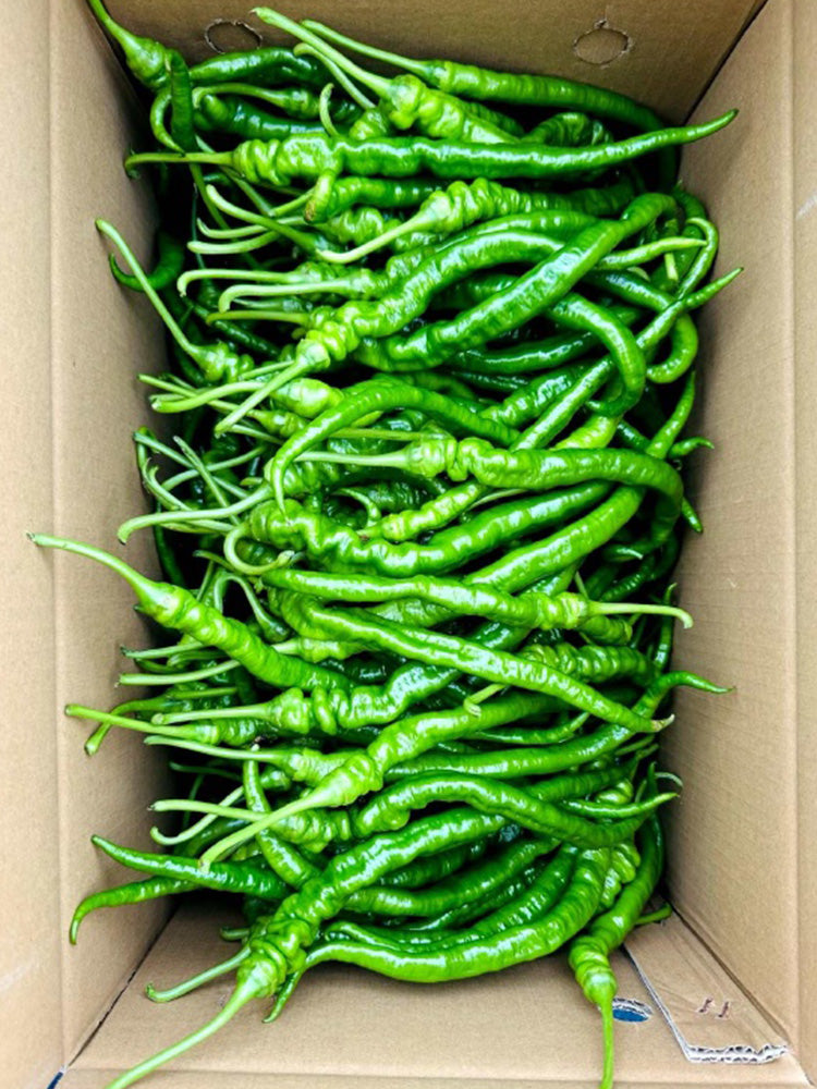 Spiral Spicy Line Pepper
