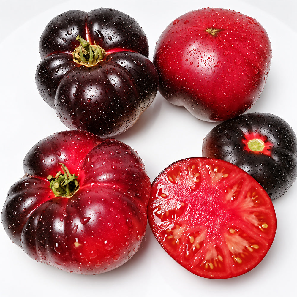384 Sofia's Purple Apple Tomato
