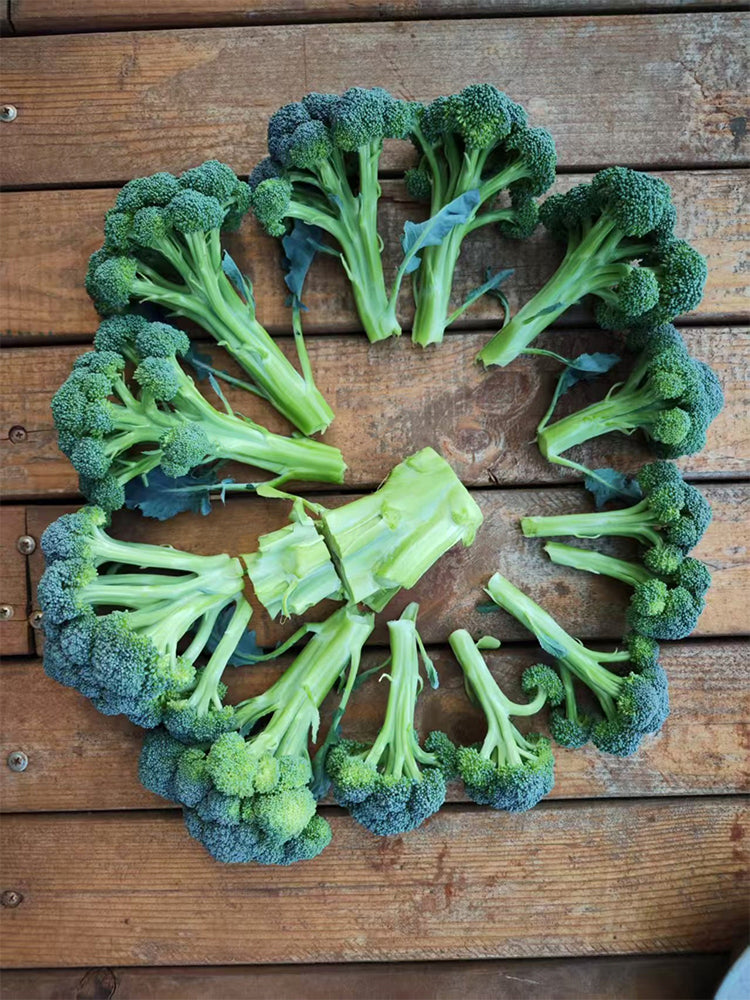 Green Sprouting Broccoli No.2 Hybrid