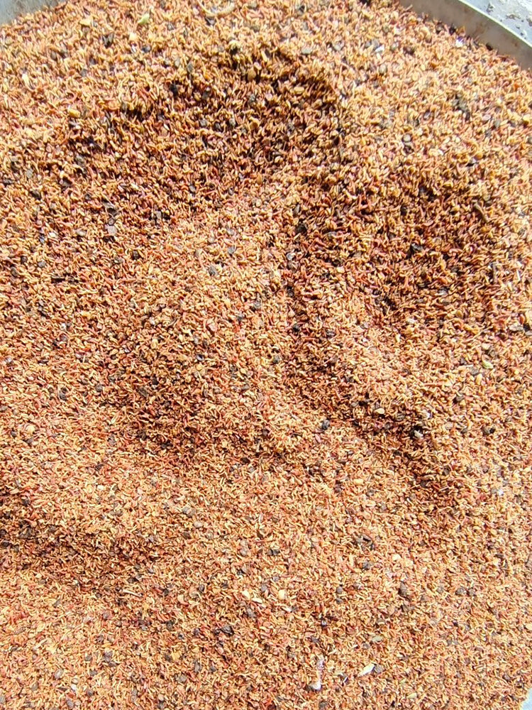 Small Coin Leaf Eucalyptus