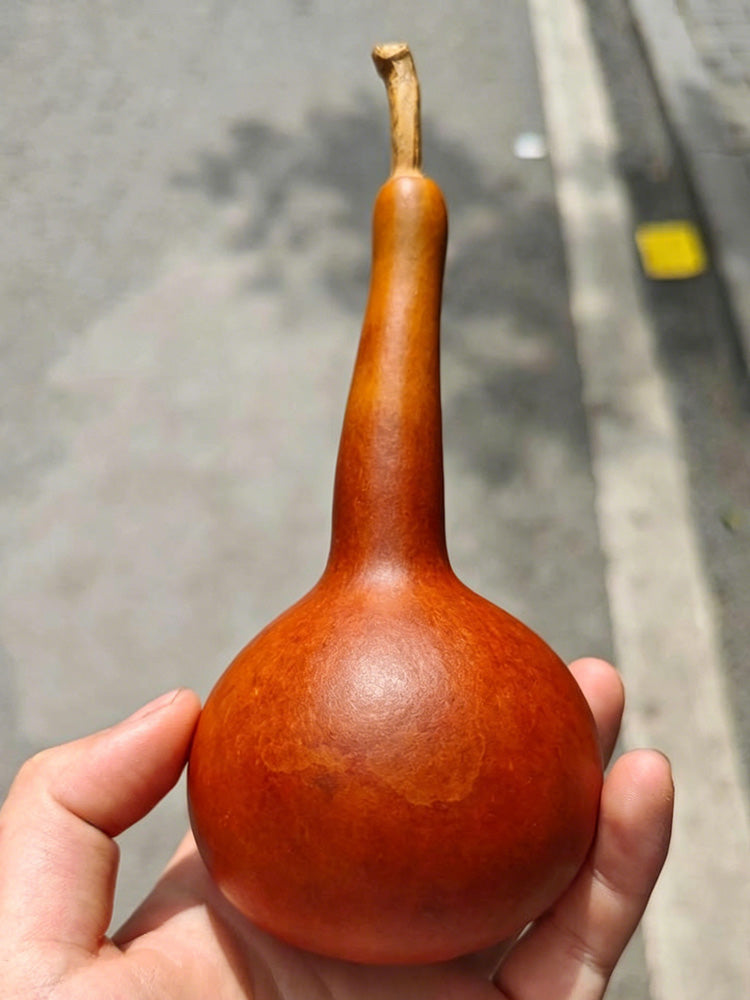 Small Long-handled Gourd