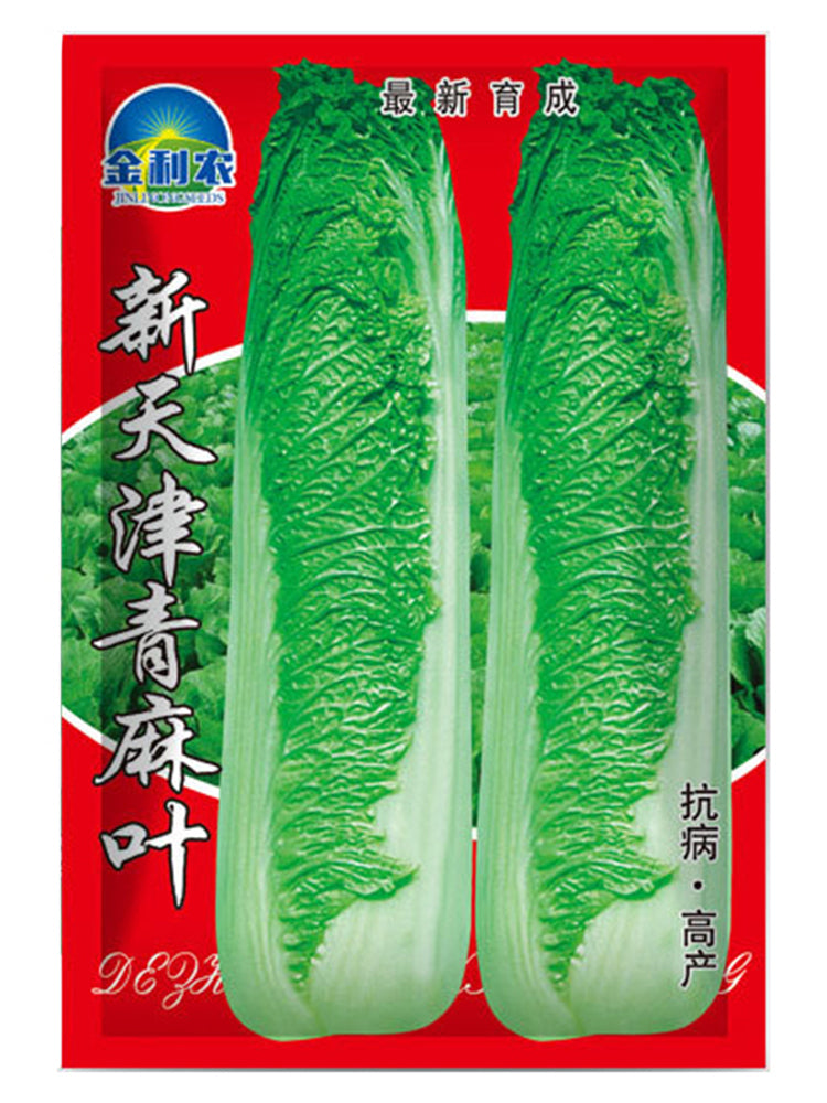 Tianjin Qingmaye Chinese Cabbage