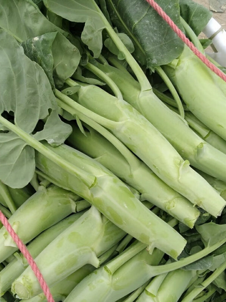 Dajinsun Chinese Kale