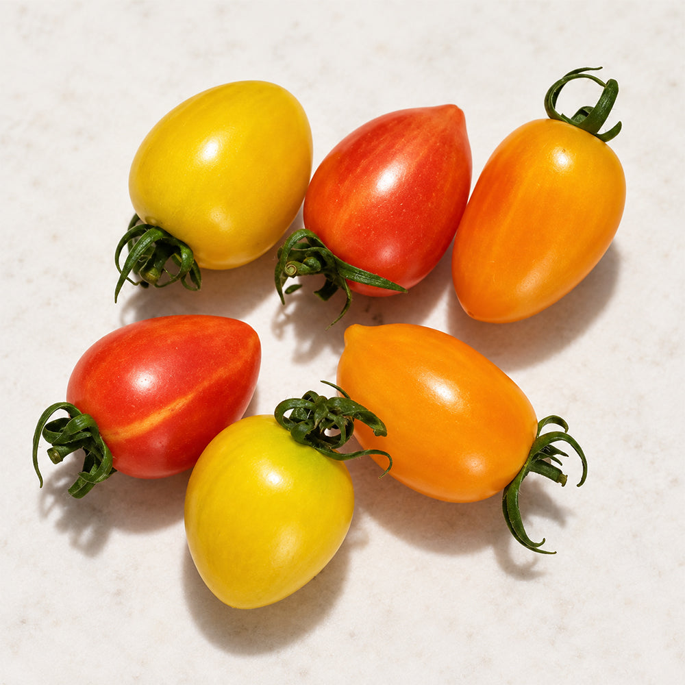 423 Yellow Taste Tomato