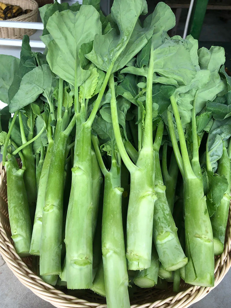 'Nongyan Yellow Flower' Chinese Kale