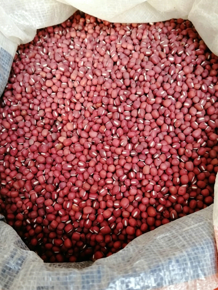 Xiangsi Red Bean