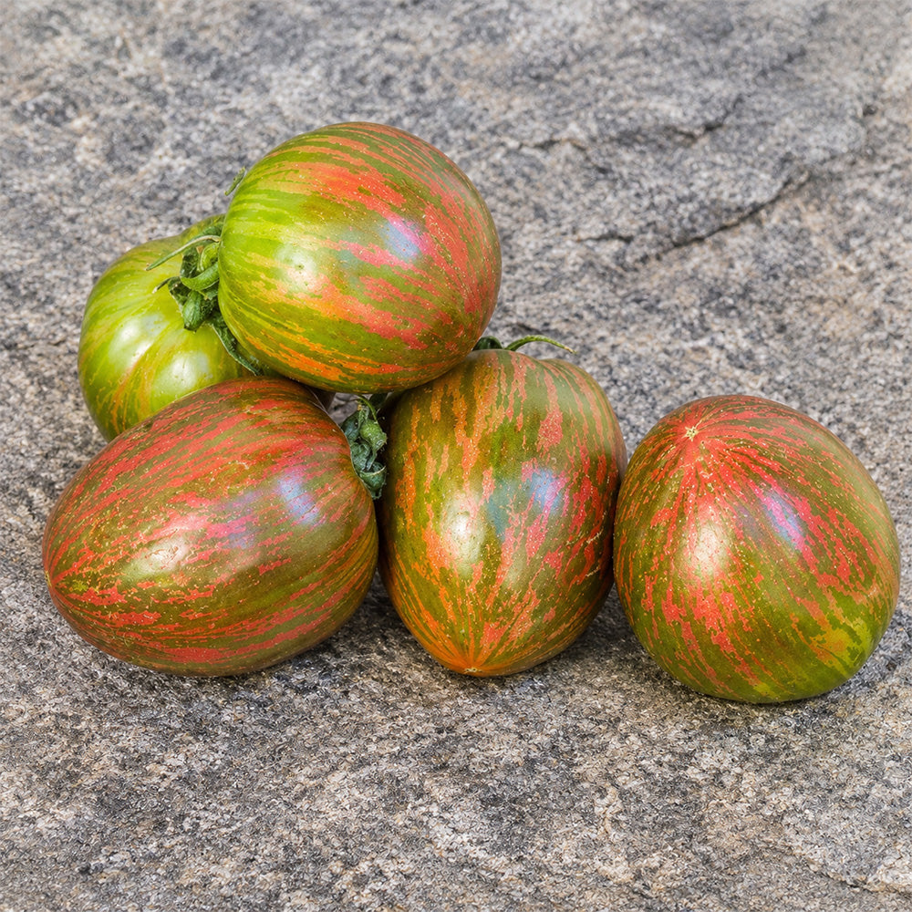 33 Moonlight Mile Tomato