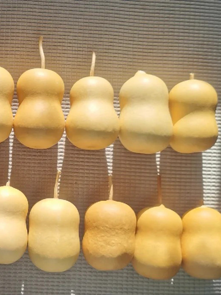 Guoguo Gourd