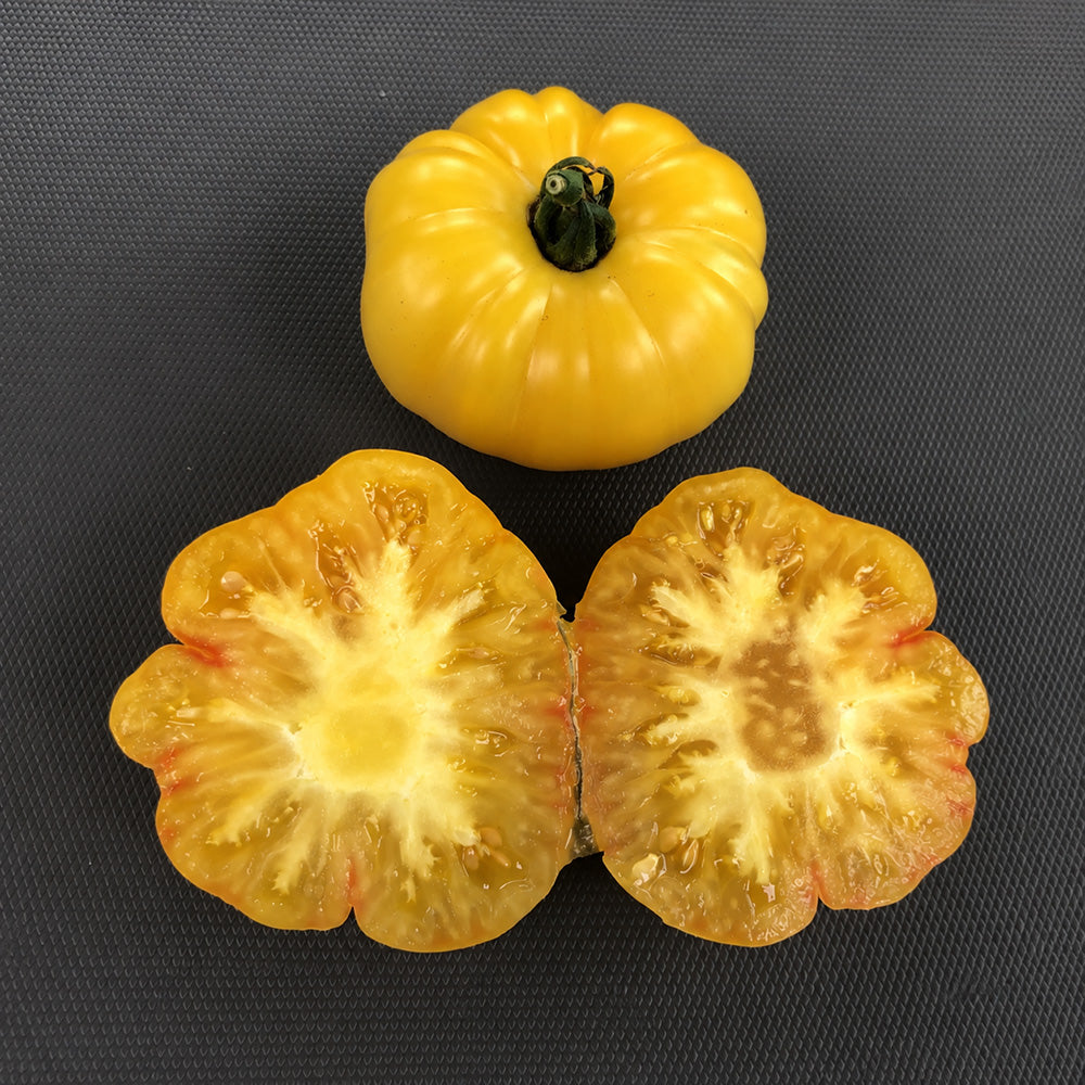 565 Tiger Paw Tomato