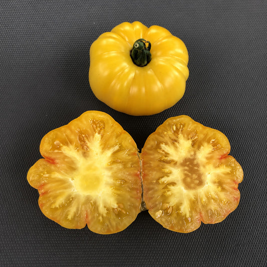 565 Tiger Paw Tomato