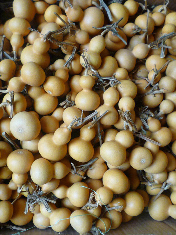 Hezhichun Mini Hand-twisted Gourd
