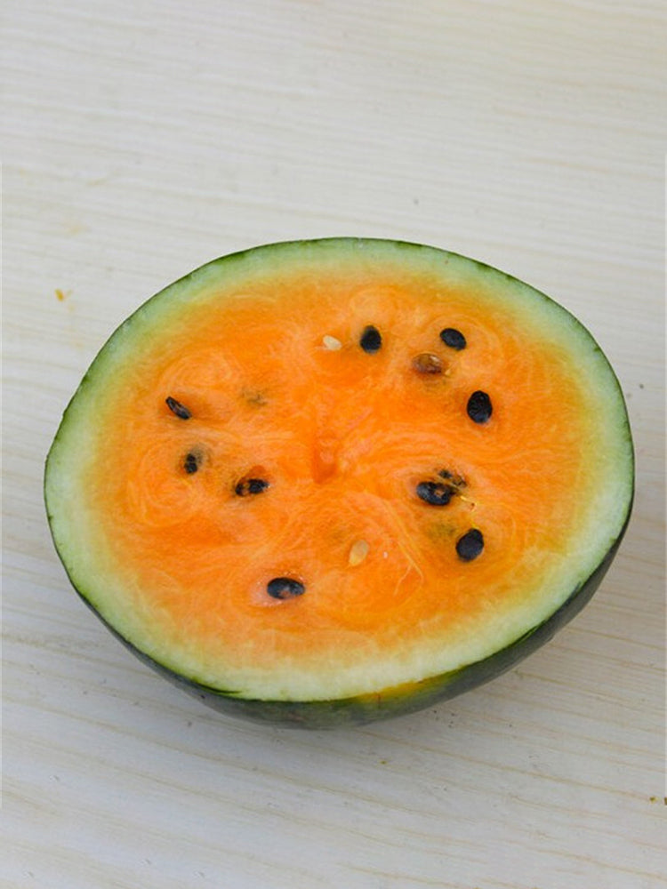 Rainbow No.1 Watermelon