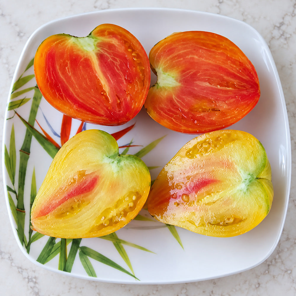 407 Cœur de Zèbre Abricot Tomato