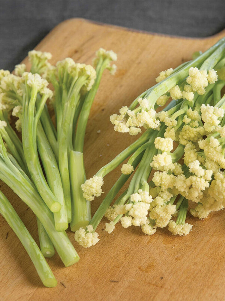 Sweet & Crisp Sprouting Cauliflower No.1 Hybrid