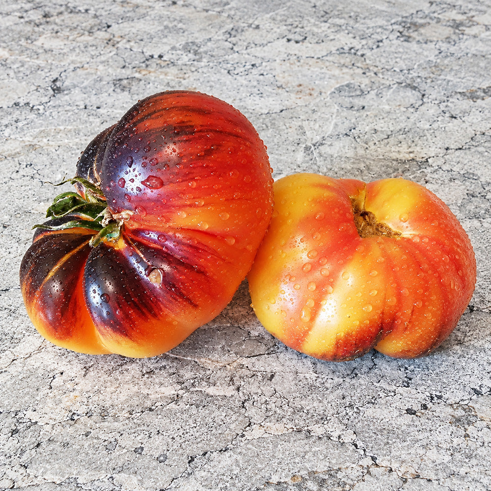 351 Chupa-Chups Bicolor Tomato