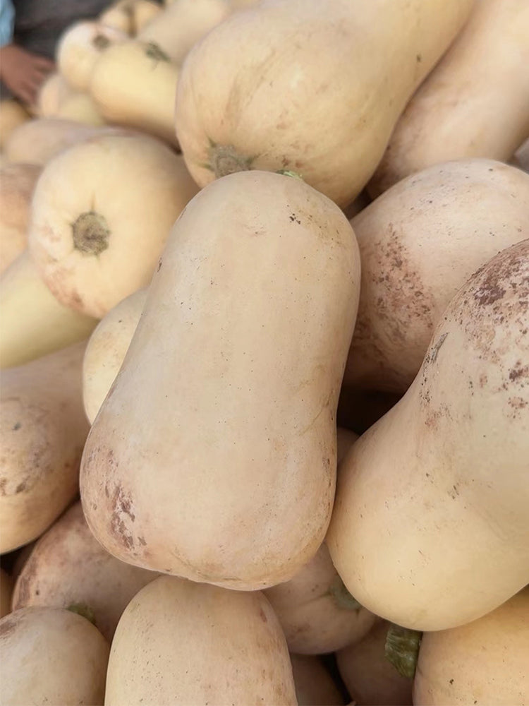 Cream Pumpkins