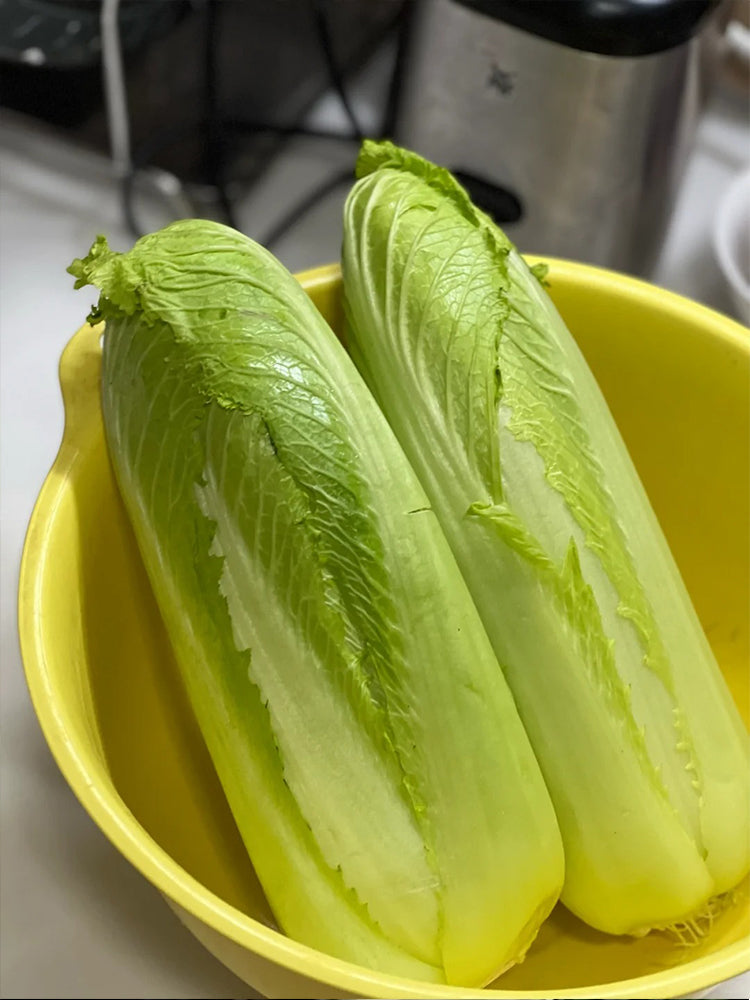 Taiyuan Erqing Chinese cabbage