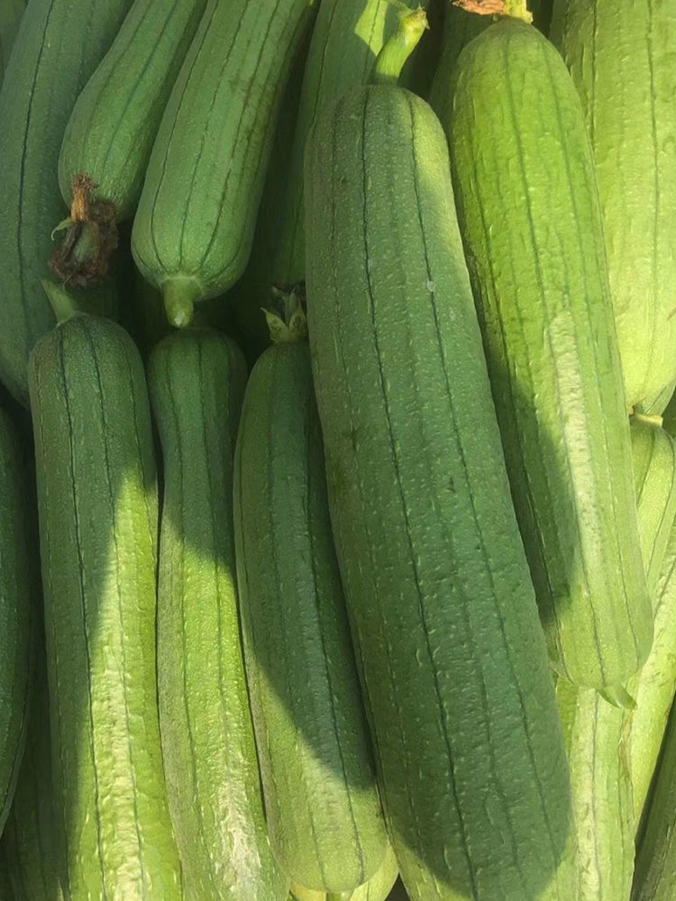 Yushuai Smooth Luffa