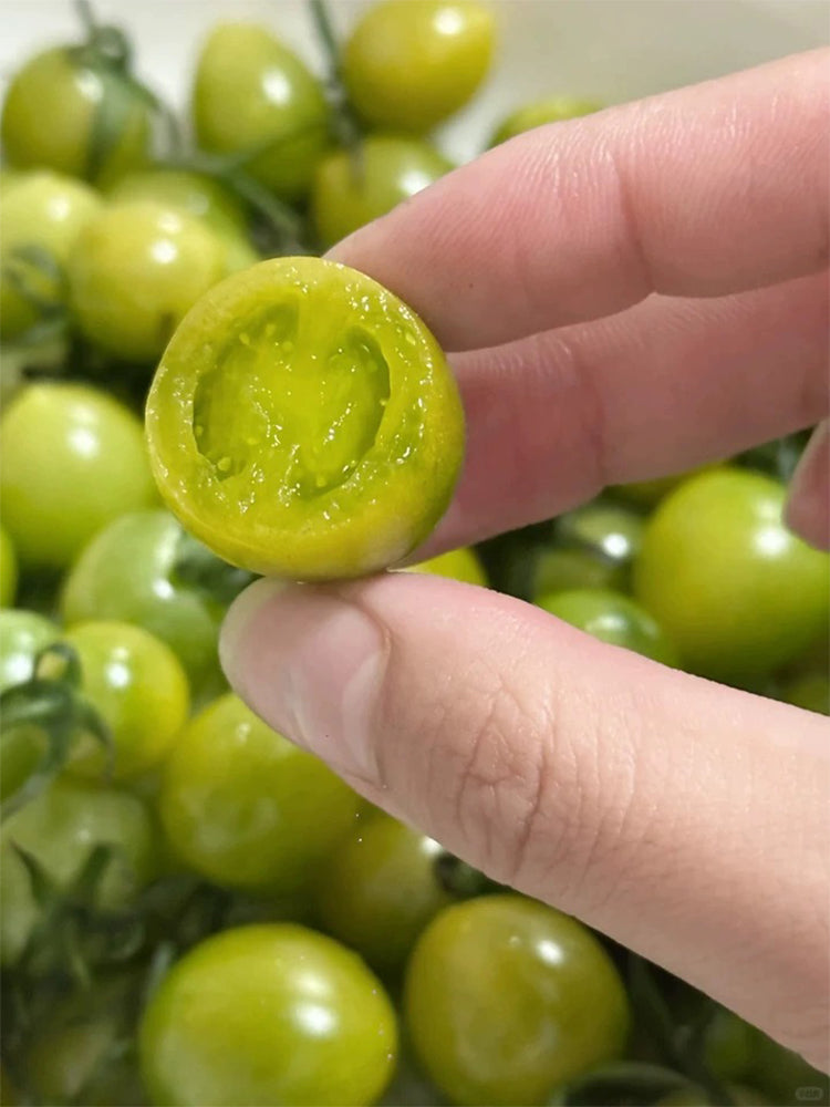 Dream Green Sweet No.2 Cherry Tomato