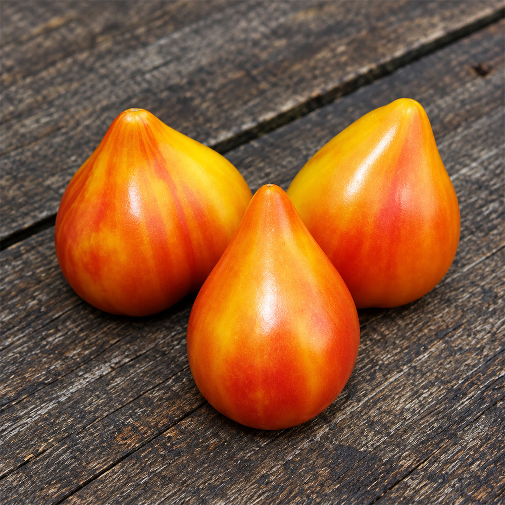 388 Canadian Yellow Strawberry Tomato