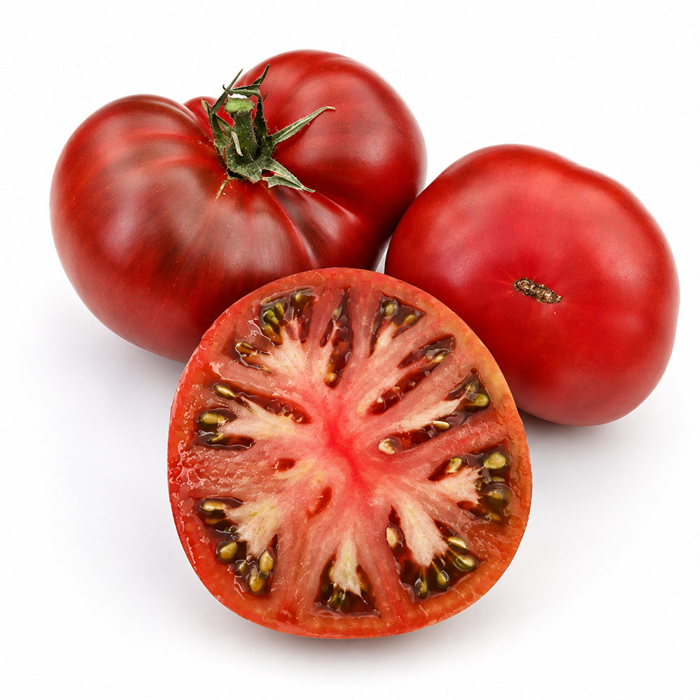 503 Dwarf Wild Fred Tomato