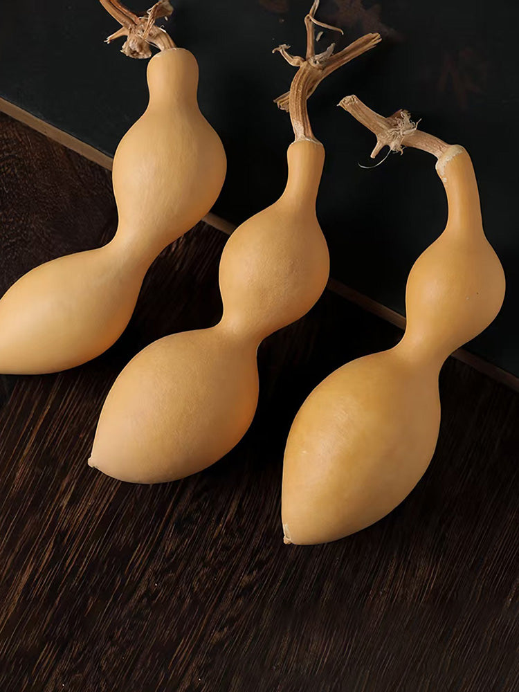 Ant Belly Gourd
