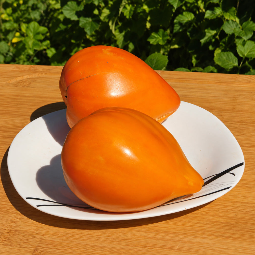 569 Orange Heart from Angelina Tomato