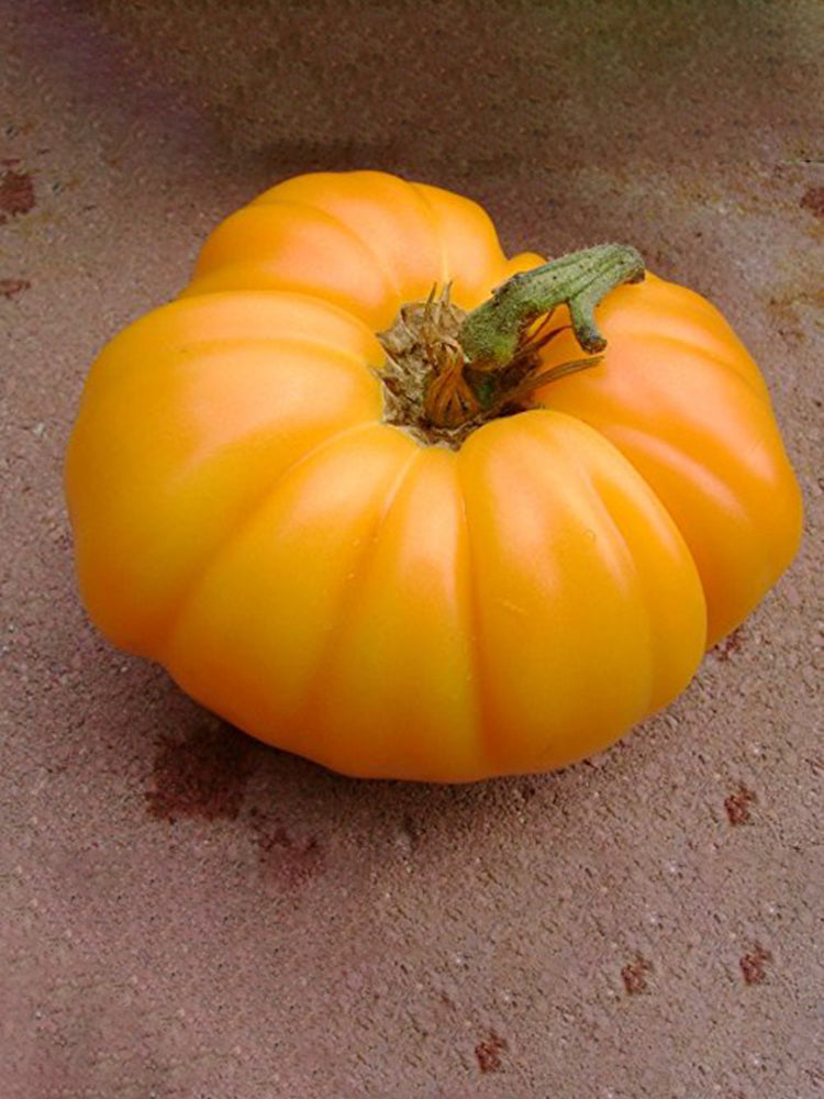 Kellogg's Breakfast Tomato