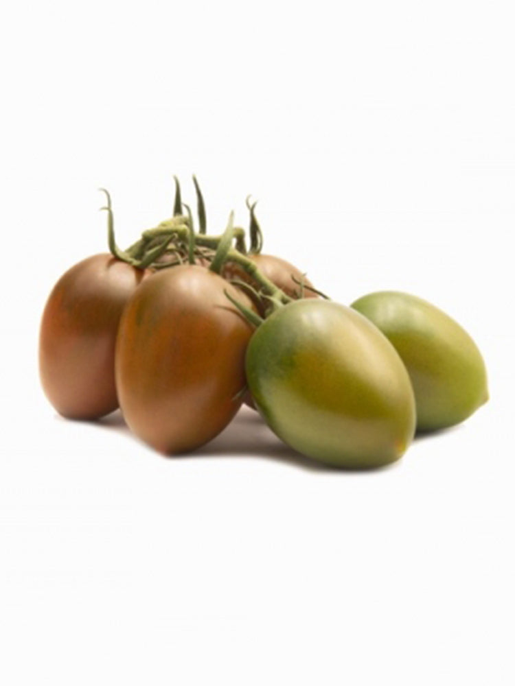 Purple Roman Tomato
