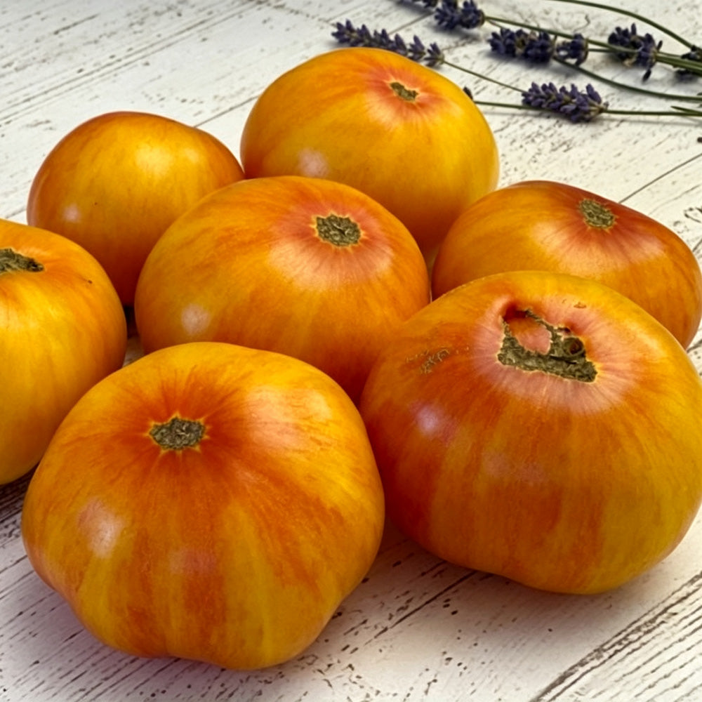 620 Cupid's Arrows Tomato