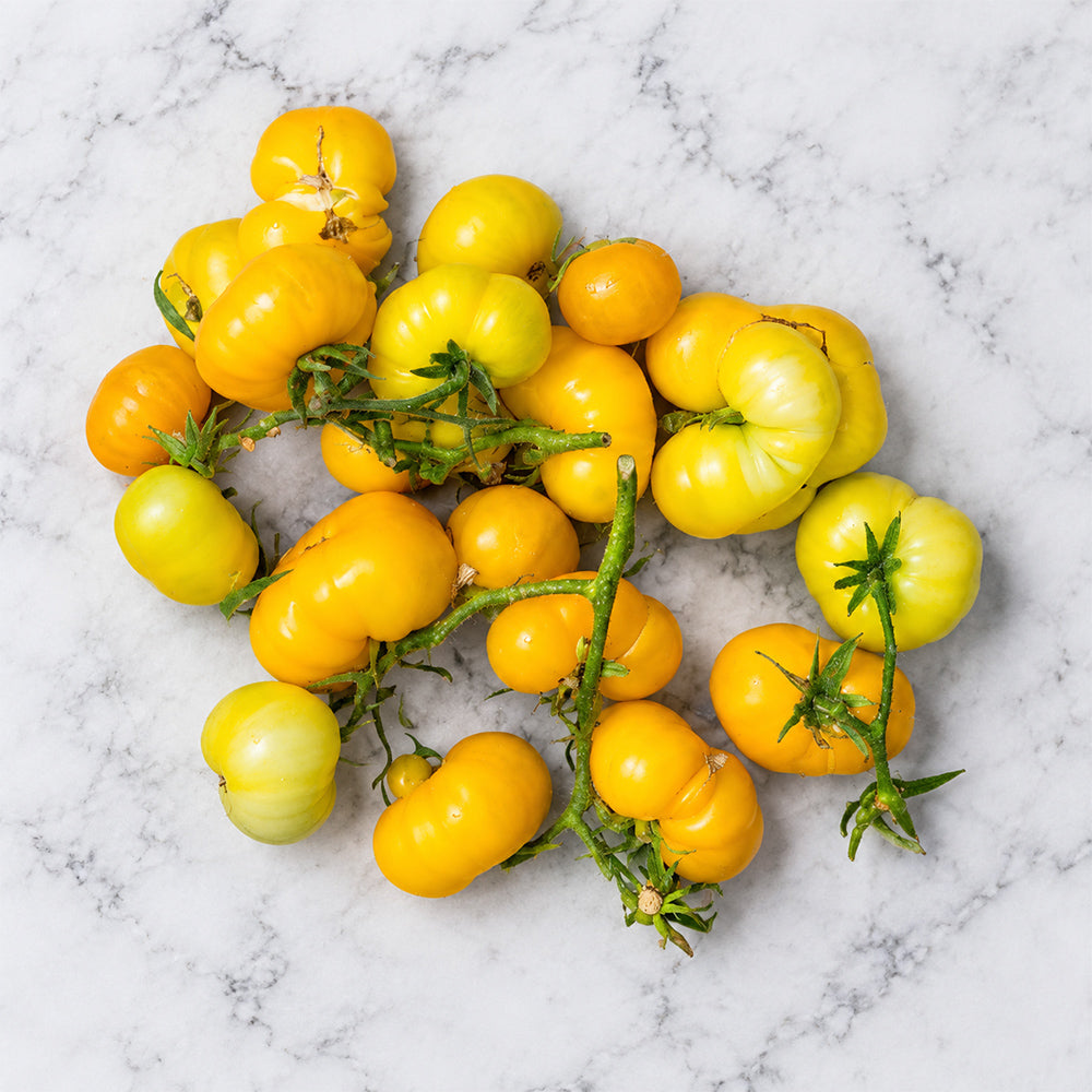 88 Dwarf Rumpelstiltskin Tomato