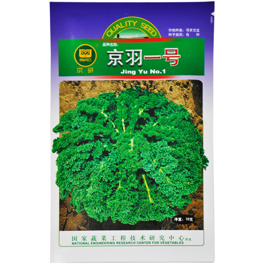 Kale Seeds, Garden Ornamental Vegetables Flowers, Edible, Pack of 1