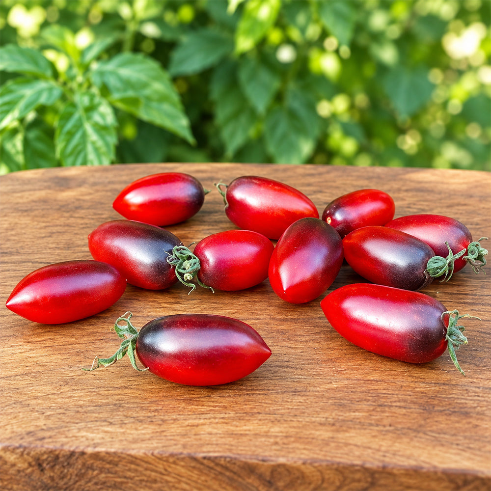 396 Black Kumquat Tomato