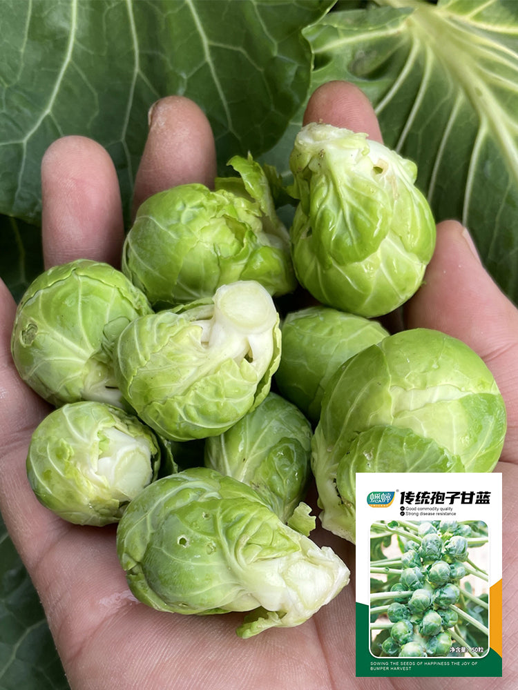 Brussels Sprouts
