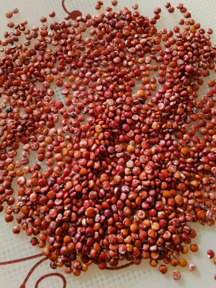 Red Quinoa