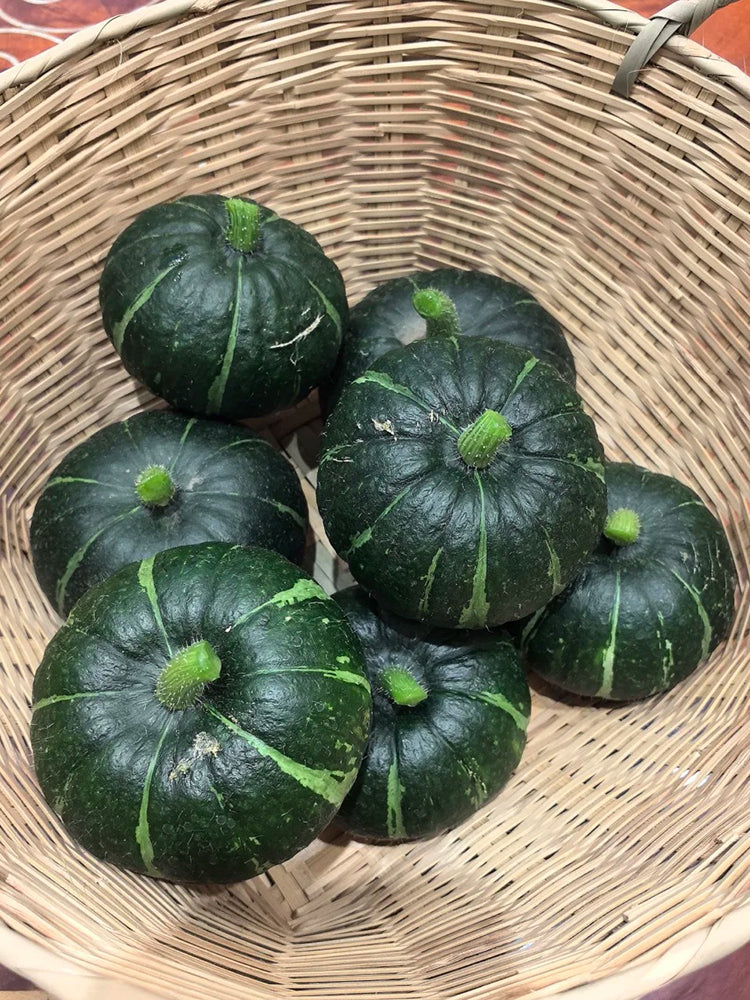Green Baby Pumpkin
