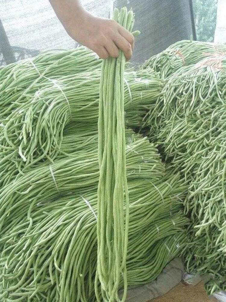 Ganzhimei Yardlong Beans