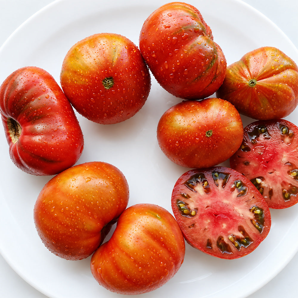 474 Dwarf Black Wizard Tomato
