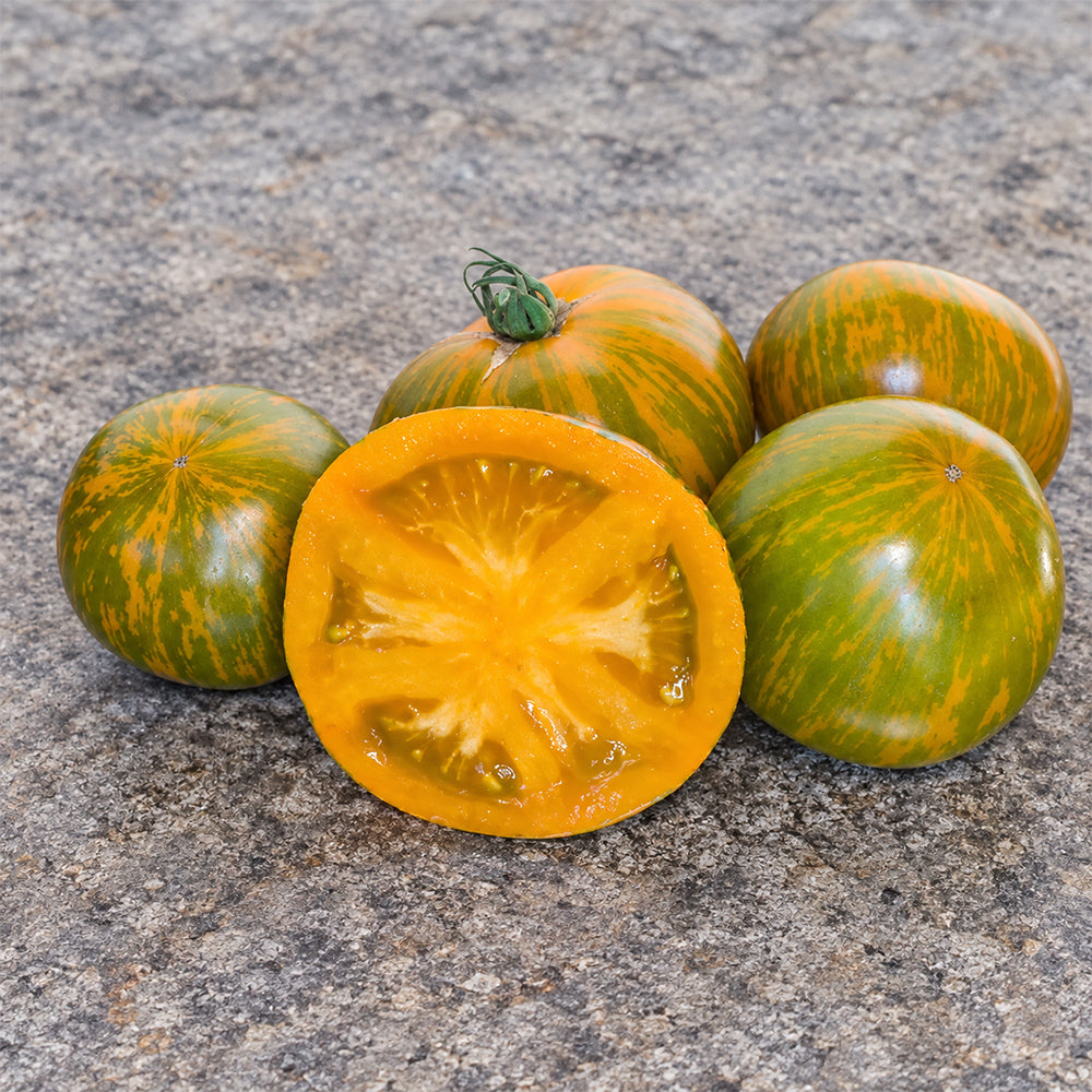 412 Dwarf Jeremy's Stripes Tomato