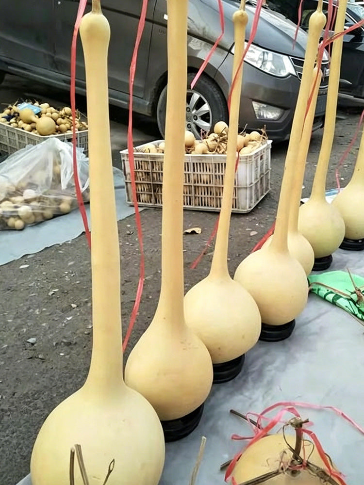Long Handle Gourd