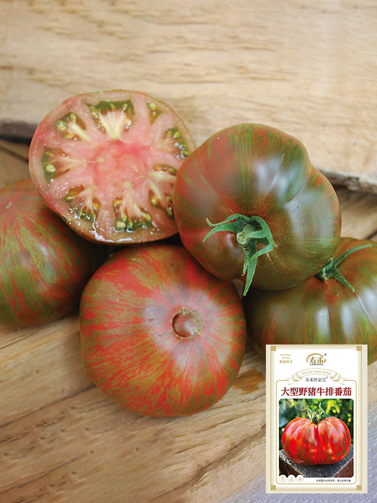 Big Cheef Steak Tomato