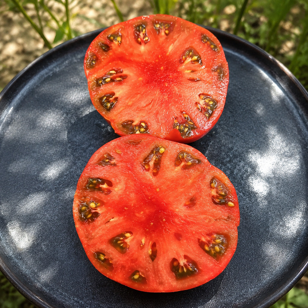 92 Dwarf Sahak Donut Tomato