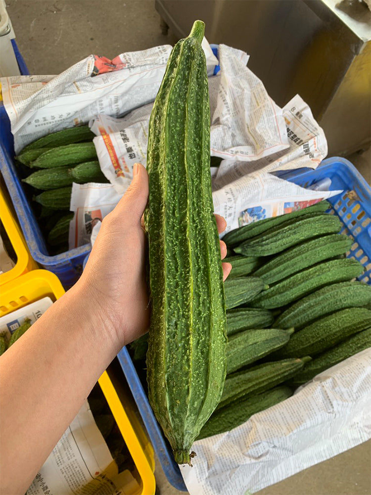 Traditional Angled Luffa