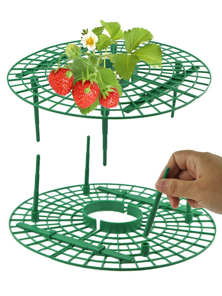 strawberry plant rack Muciakie® N221 Strawberry Growing Holder – MUCIAKIE