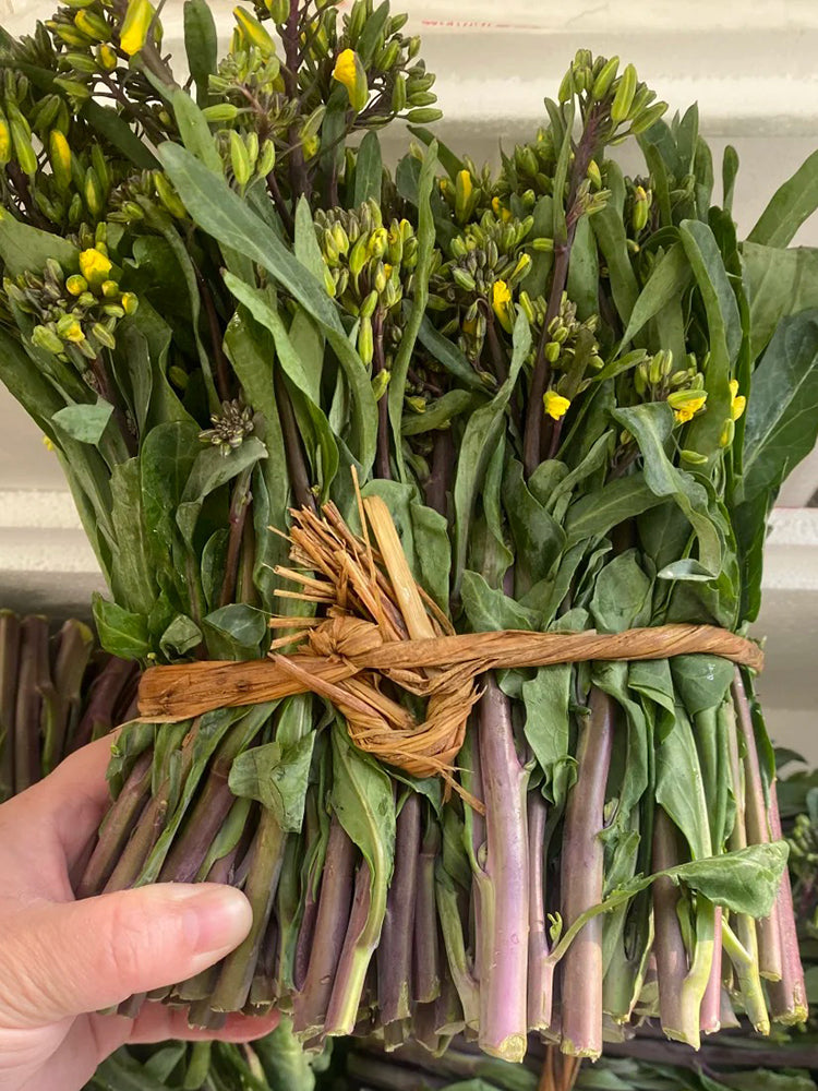Curly-Leaf Red-Stem Chinese Kale