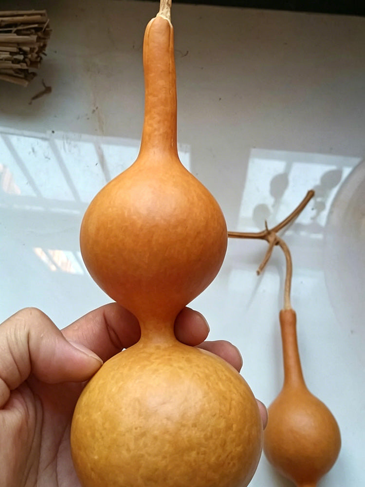 Xiaosan Ting Gourd