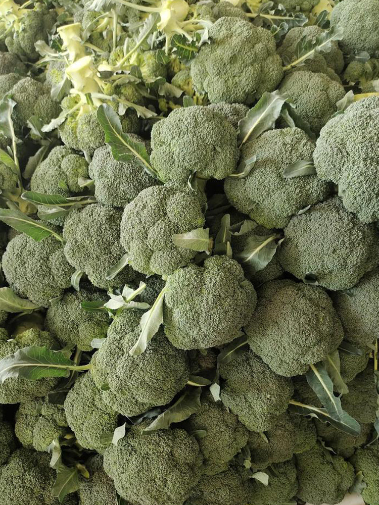 Broccoli