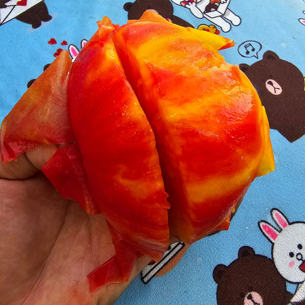 600 Anto Sandburg Tomato