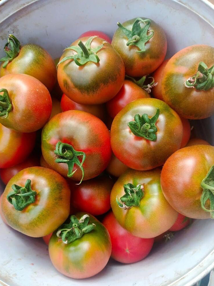 Crisp Sweet Strawberry Tomato