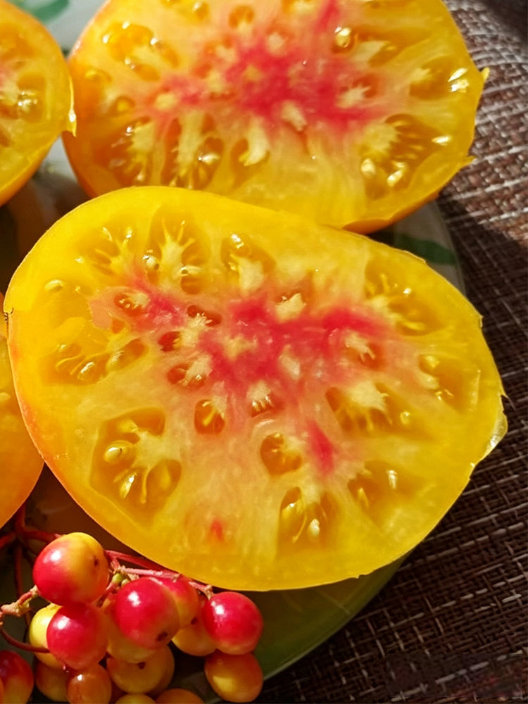 Snowflake Beefsteak Tomato